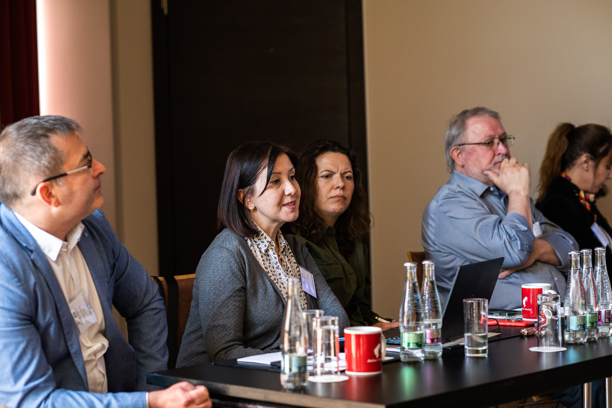 REELIH Impact Workshop: speakers for the first session from left to right: Dragomir Tzanev, Liljana Alceva, Yulia Pushko, Andrew Popelka, Elena Milanovska.